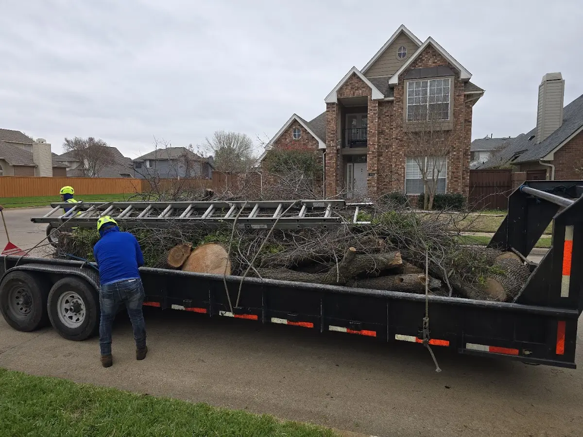 Expert Lot Clearing with proper safety equipment in Gould